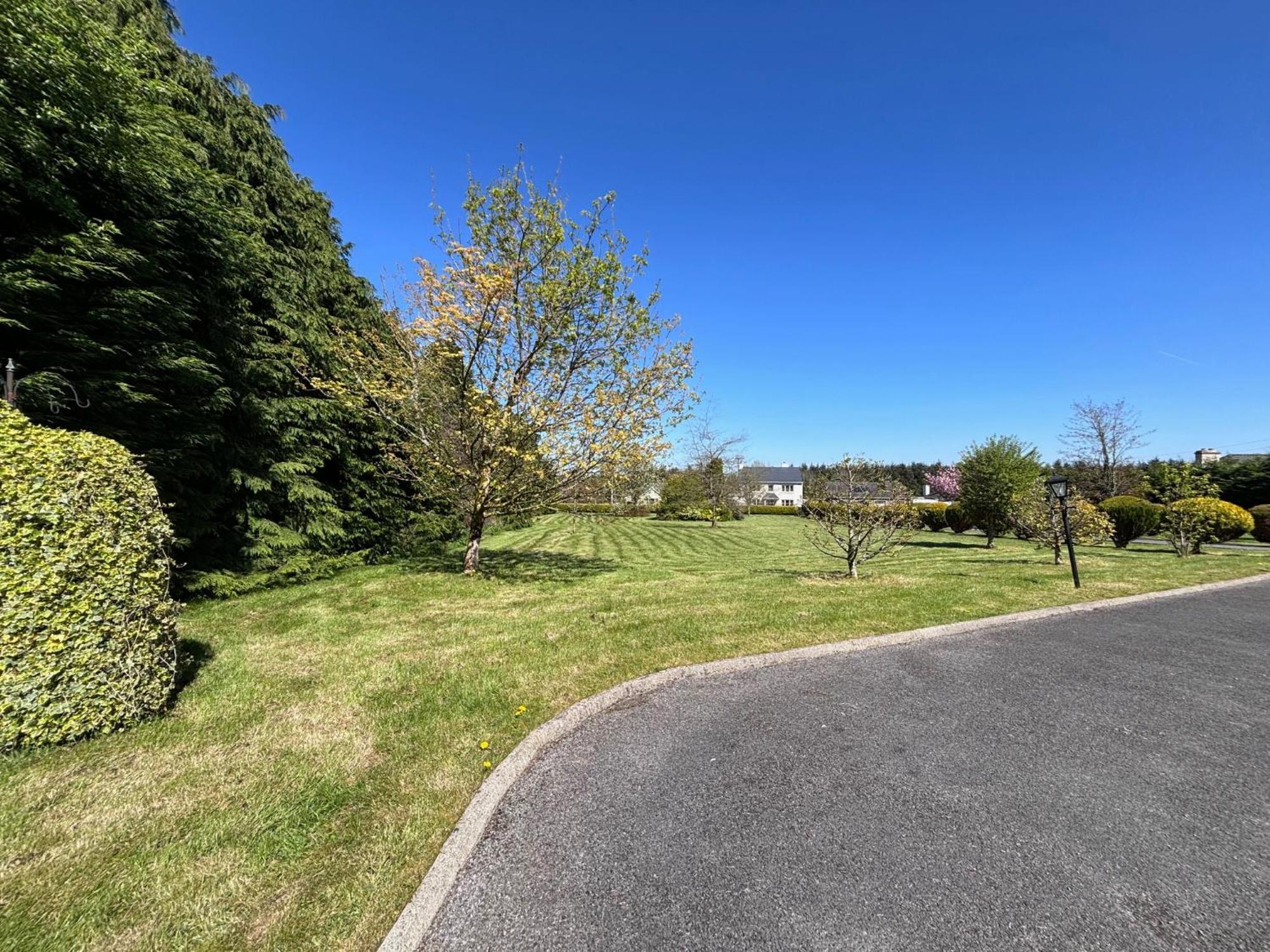 The Lodge Self Catering Castlerea Екстер'єр фото